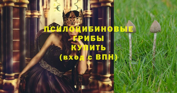 гашик Белоозёрский
