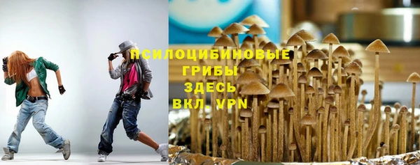 гашик Белоозёрский