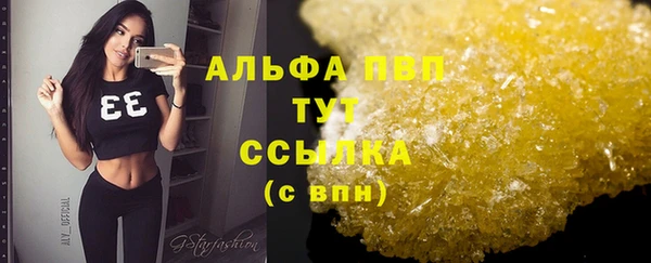 гашик Белоозёрский