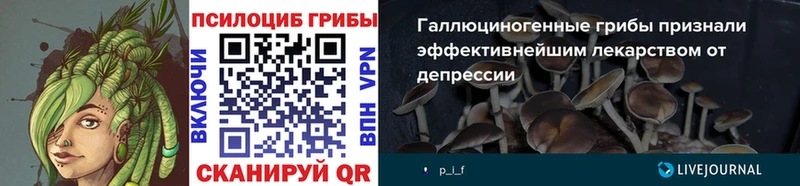 Псилоцибиновые грибы мухоморы Краснообск